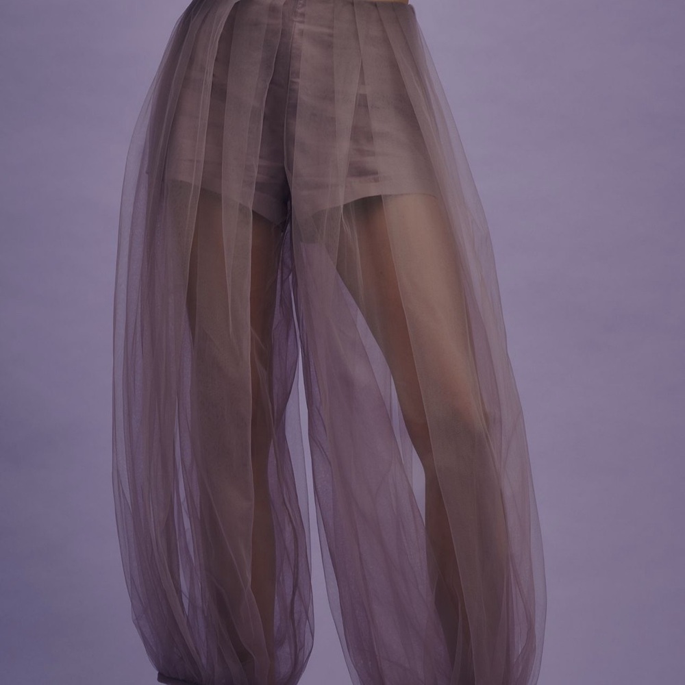 Anthropologie Sheer Purple Pants